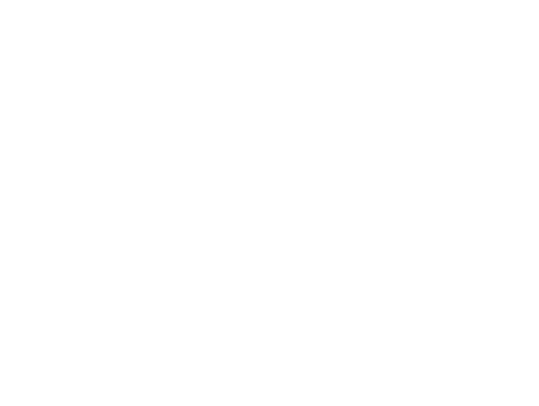 Фени